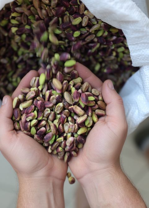 Aldo: Crafting honey & seasonal preserves