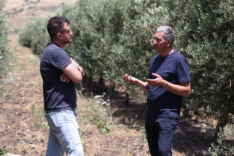 Max: Handpicking and pressing extra virgin olive oil
