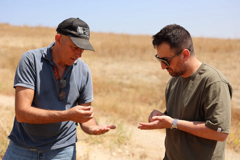 Giuseppe: Growing ancestral heirloom legumes